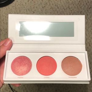 RealHer Blush Kit
